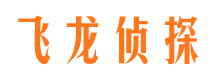 月湖飞龙私家侦探公司